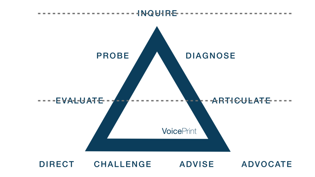 the VoicePrint model highlighting the tear points in team resourcefulness