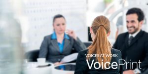 Voices at work the professional mediator