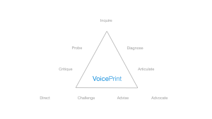 The VoicePrint model of voice modes