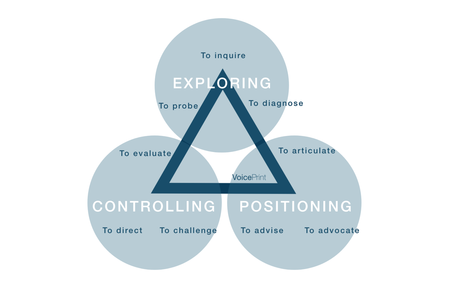 Facilitating Action Learning Sets with VoicePrint VoicePrint