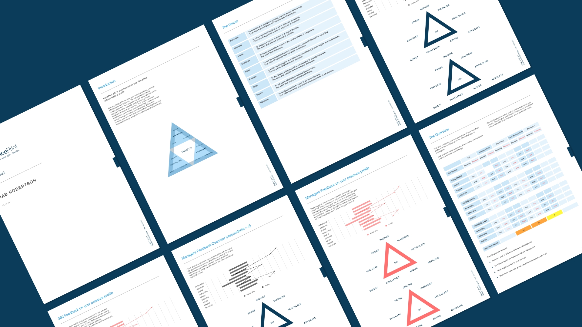 VoicePrint 360 Report Examples