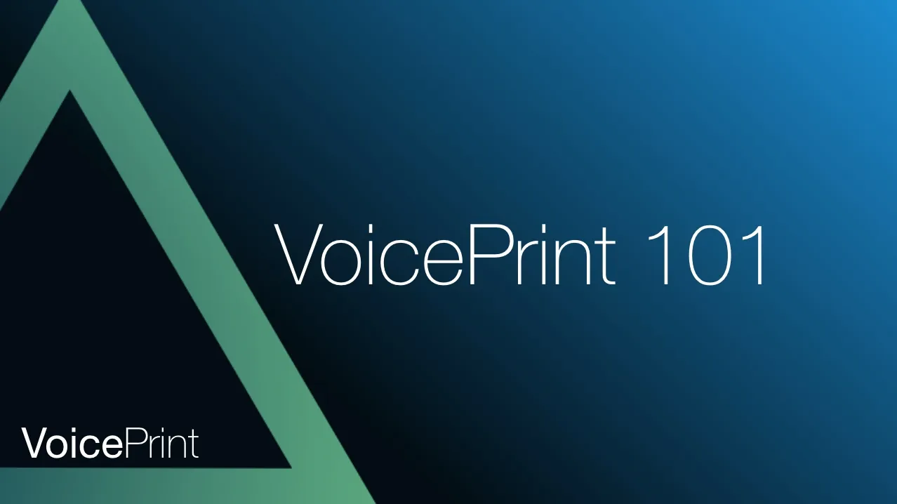 VoicePrint 101